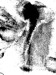 Similar image 7171905