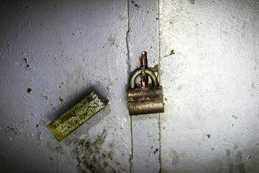 Similar image 7171995