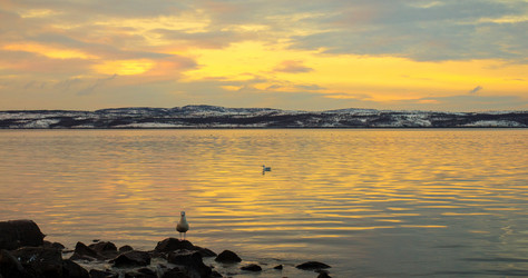 Similar image 7171998