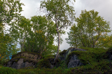 Similar image 7172006