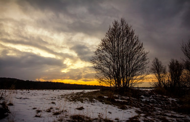 Similar image 7172008