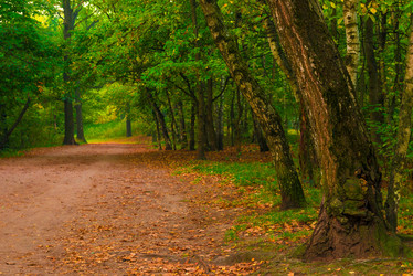 Similar image 7172048