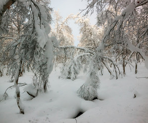 Similar image 7172055