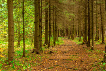 Similar image 7172084