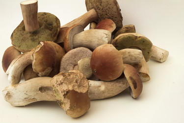 Similar image 7172086