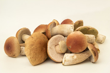 Similar image 7172089