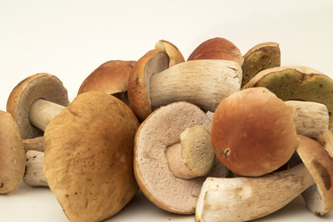 Similar image 7172090