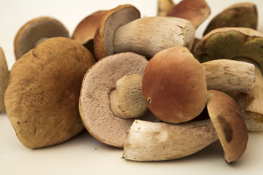 Similar image 7172092