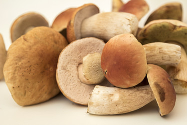 Similar image 7172093