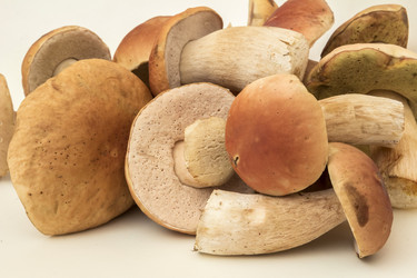 Similar image 7172095