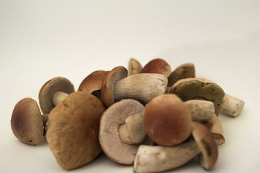 Similar image 7172096