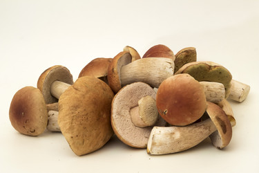 Similar image 7172097