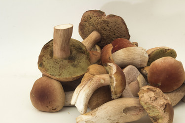 Similar image 7172098