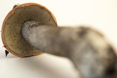 Similar image 7172111