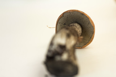 Similar image 7172112