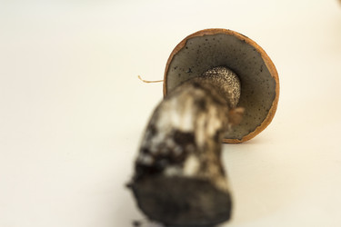 Similar image 7172113