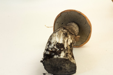 Similar image 7172115