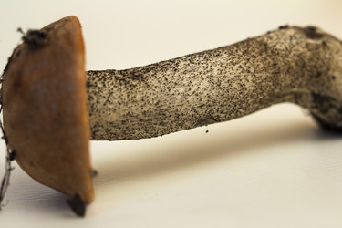 Similar image 7172116