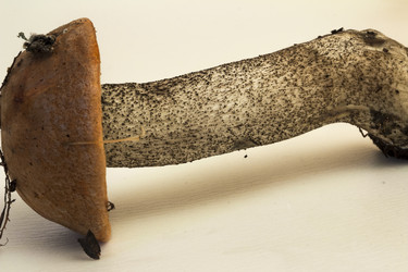 Similar image 7172118