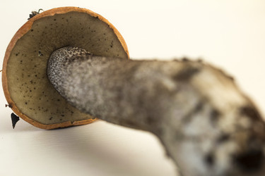 Similar image 7172119