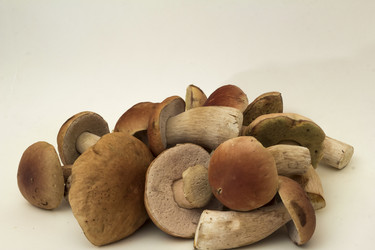 Similar image 7172120