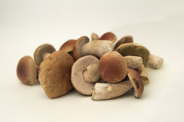 Similar image 7172121