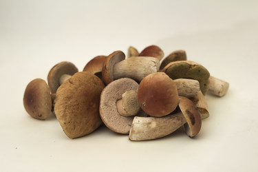 Similar image 7172122