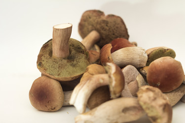 Similar image 7172128