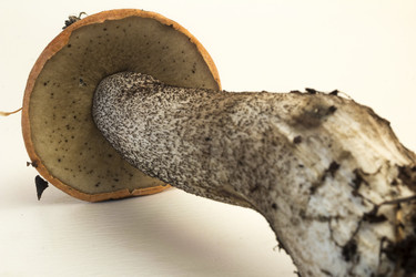 Similar image 7172130