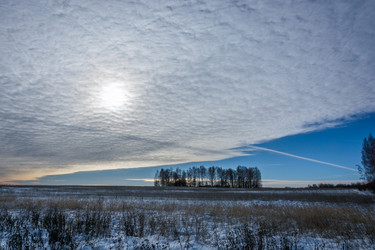 Similar image 7172133