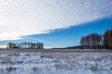 Similar image 7172154