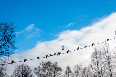 Similar image 7172163