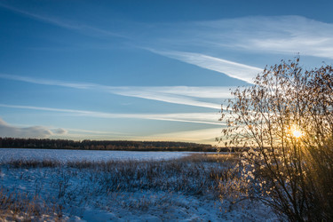 Similar image 7172165