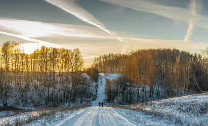 Similar image 7172173