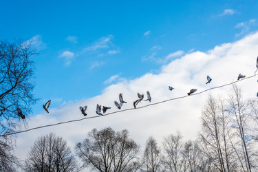 Similar image 7172178