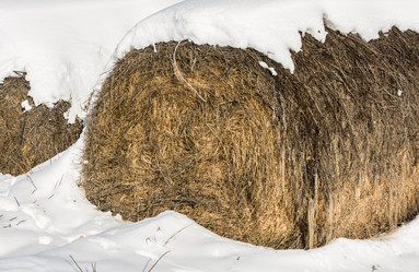 Similar image 7172200