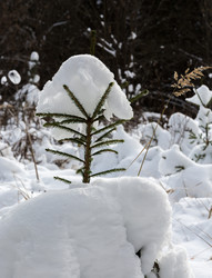 Similar image 7172201