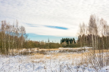 Similar image 7172202