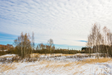 Similar image 7172204