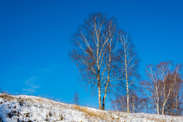 Similar image 7172219