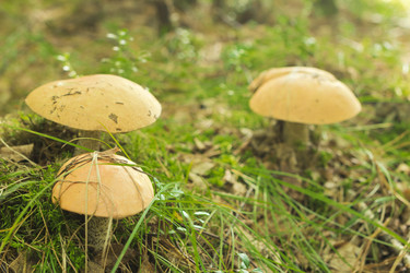 Similar image 7172924