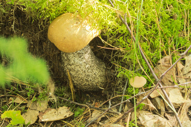 Similar image 7172926