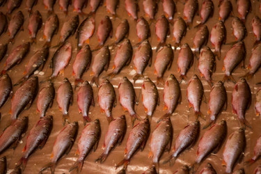 Similar image 7172931