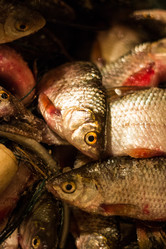 Similar image 7172935