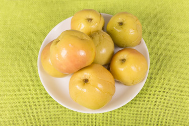 Similar image 7173397