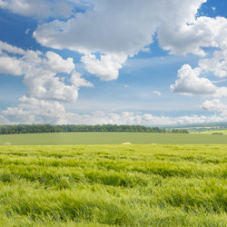 Similar image 7174027