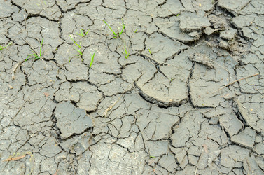 Similar image 7174477