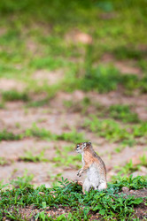 Similar image 7177147