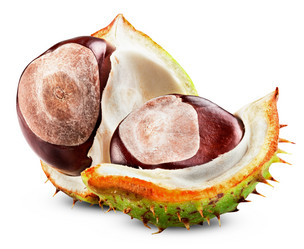 Similar image 7181302