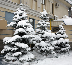 Similar image 7181367